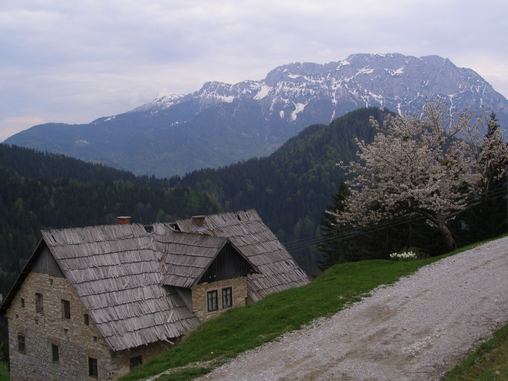 Raduha-Huda_pec-Stritar72577
