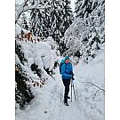 Ženski nahrbtnik Salewa Alp Trainer 30+3