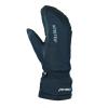 Trekmates Chamonix Mitt GTX gloves