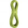 Edelrid Apus Pro Dry 7,9mm 60m rope