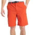 Pantalón corto cargo Columbia Silver Ridge