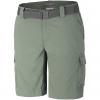 Men's shorts Columbia Silver Ridge Cargo