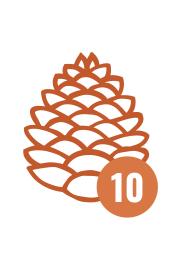 10 чуњева за 10 евра