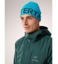 Arcteryx Word Head Cap