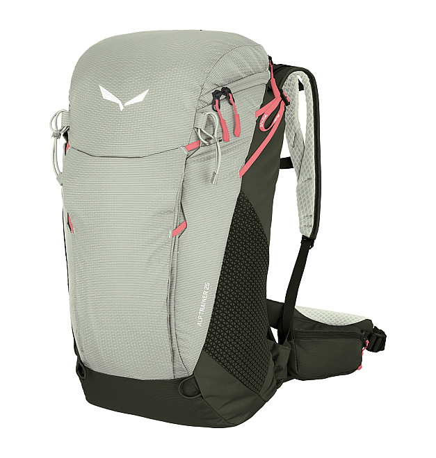 Salewa Alp Trainer 25