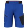 Men's shorts Salewa Pedroc Cargo 3 DST