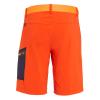 Men's shorts Salewa Pedroc Cargo 3 DST