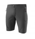 Men's shorts Dynafit Transalper Light Dynastretch
