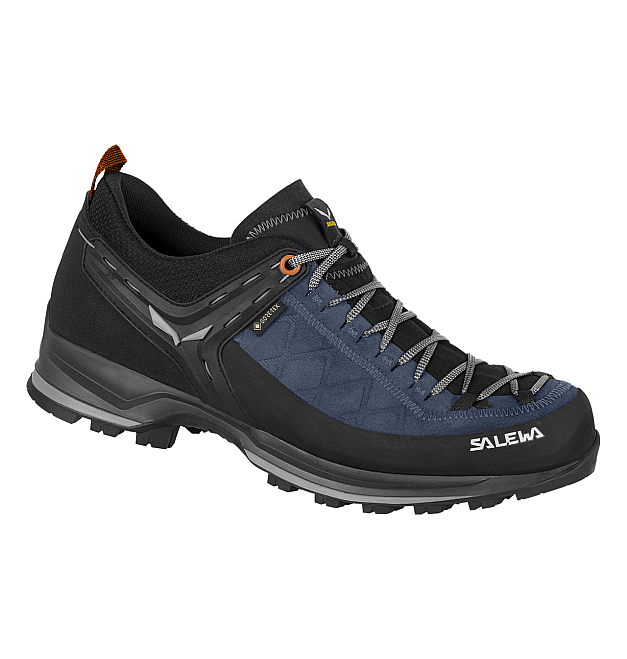Salewa MTN Trainer GTX niske planinarske cipele za muškarce