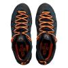 Low hiking shoes Salewa Wildfire 2 GTX