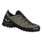 Low hiking shoes Salewa Wildfire 2 GTX