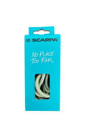 Scarpa Approach vezice