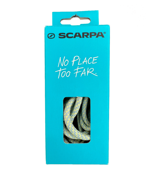 Scarpa Approach vezice