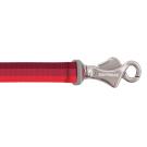Ruffwear Roamer Leine