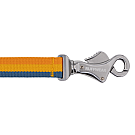 Ruffwear Roamer Leine