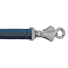 Ruffwear Roamer Leine