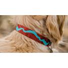 Hundehalsband RuffWear Flat Out