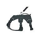 Arnés para perros RuffWear Web Master
