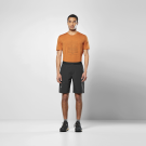 Salewa Puez 4 DST Herren-Wandershorts
