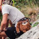 Magnezijska vrećica YY Vertical Sloth