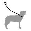 Mountain Paws Rope dog leash
