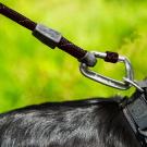 Mountain Paws Seil-Hundeleine