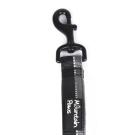 Extra robuste Stretch-Hundeleine von Mountain Paws