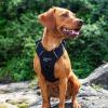 Pasja oprsnica Mountain Paws Harness X-Large