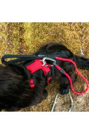 Hundegeschirr Mountain Paws Harness Small