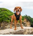 Mountain Paws Harness Medium