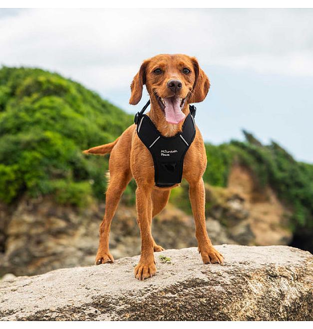 Orme za pse Mountain Paws Harness Medium