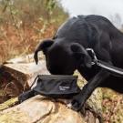 Mountain Paws Collapsible Food Dog Bowl