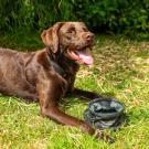 Cuenco plegable para perros de agua Mountain Paws