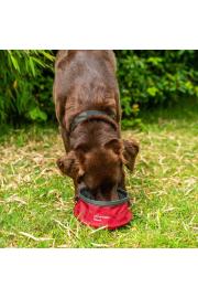 Mountain Paws Collapsible Water Dog Bowl