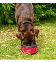 Mountain Paws zusammenklappbarer Wassernapf für Hunde