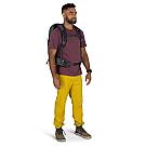 Osprey Talon 22 Rucksack