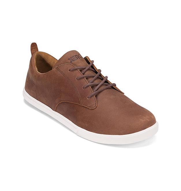 Xero Glenn Barfußschuhe für Herren