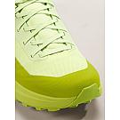 Arcteryx Norvan LD 4 Men's Shoes