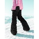 Roxy Diversion women's ski pants