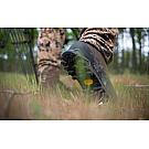 Мушке ципеле Crispi Nevada Legend Forest GTX