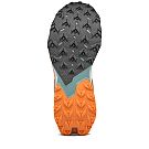 Salewa Pedroc 2 men's shoes