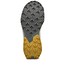 Salewa Pedroc 2 max men's shoes