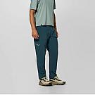 Salewa Pedroc 3 DST Light Herren-Wanderhose