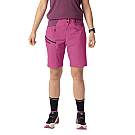 Women's Dynafit Transalper Dynastretch Shorts