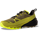 Dynafit Traverse 2 GTX Men's Shoes