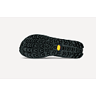 Muške tenisice za trčanje Altra Lone Peak 9+ GTX