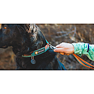 Ruffwear Front Range Dog Collar