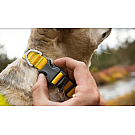 Ruffwear Hi & Light Hundehalsband