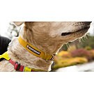 Ruffwear Hi & Light Hundehalsband