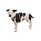Ruffwear Flagline Hundegeschirr